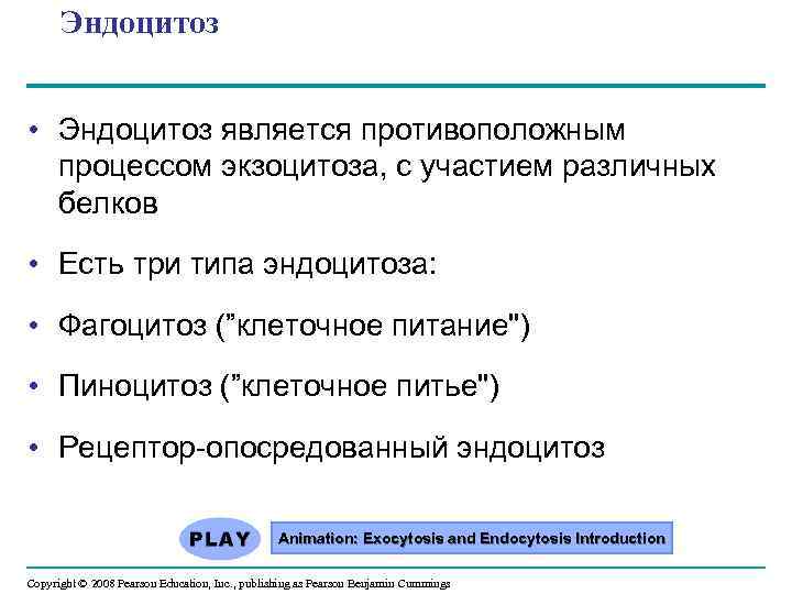 Эндоцитоз • Эндоцитоз является противоположным процессом экзоцитоза, с участием различных белков • Есть три