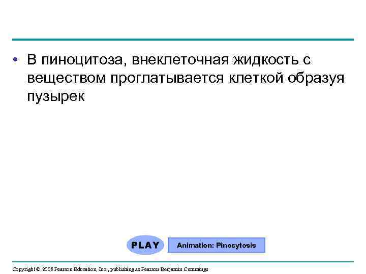  • В пиноцитоза, внеклеточная жидкость с веществом проглатывается клеткой образуя пузырек Animation: Pinocytosis