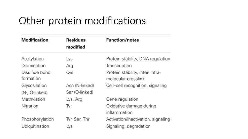 Other protein modifications 
