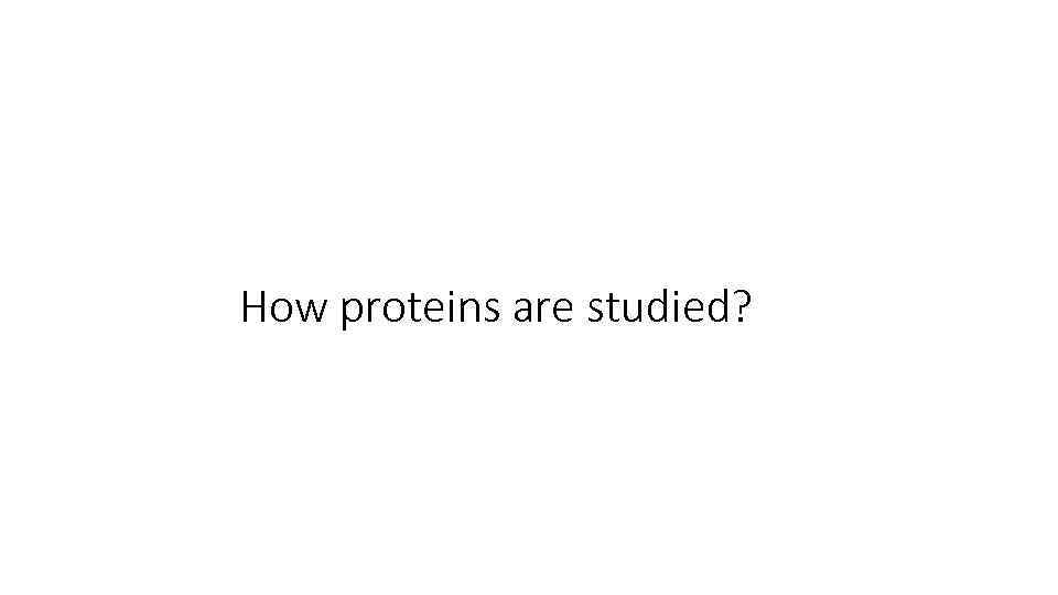How proteins are studied? 