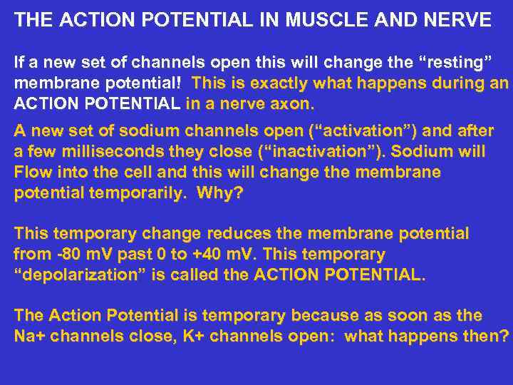 THE ACTION POTENTIAL IN MUSCLE AND NERVE If a new set of channels open