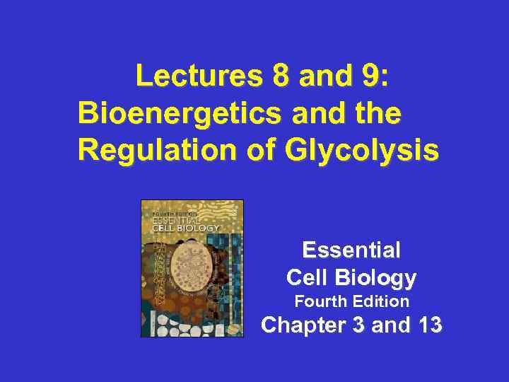 Lectures 8 and 9: Bioenergetics and the Regulation of Glycolysis Essential Cell Biology Fourth