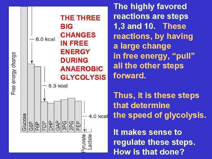 The highly favored reactions are steps THE THREE BIG 1, 3 and 10. These