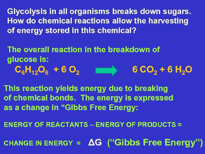 Glycolysis in all organisms breaks down sugars. How do chemical reactions allow the harvesting