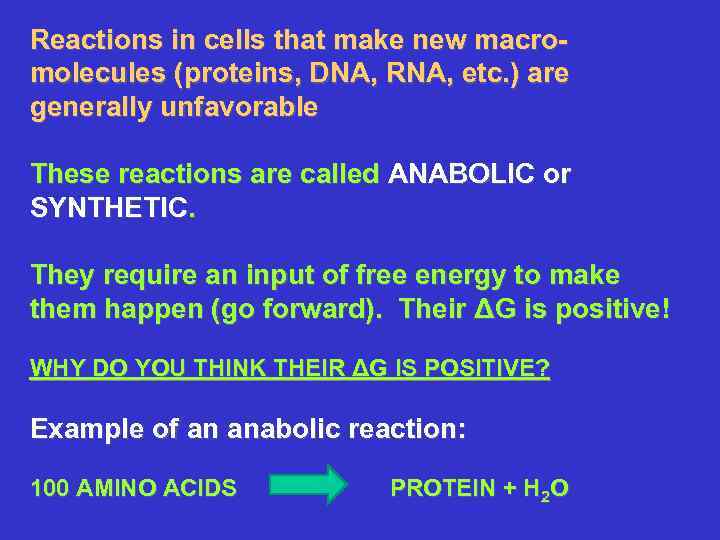 Reactions in cells that make new macromolecules (proteins, DNA, RNA, etc. ) are generally