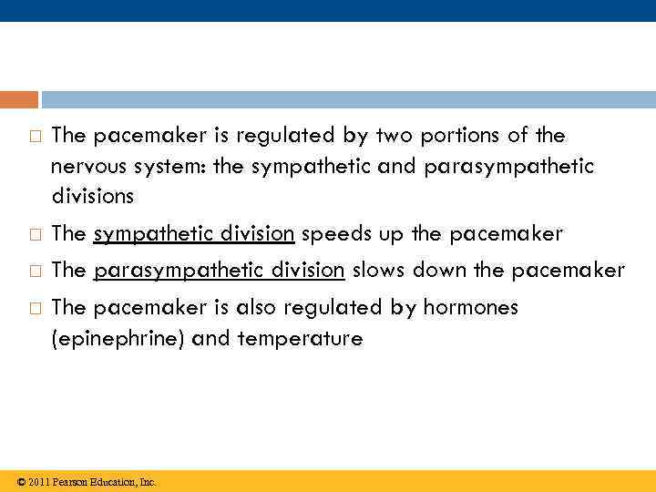  The pacemaker is regulated by two portions of the nervous system: the sympathetic