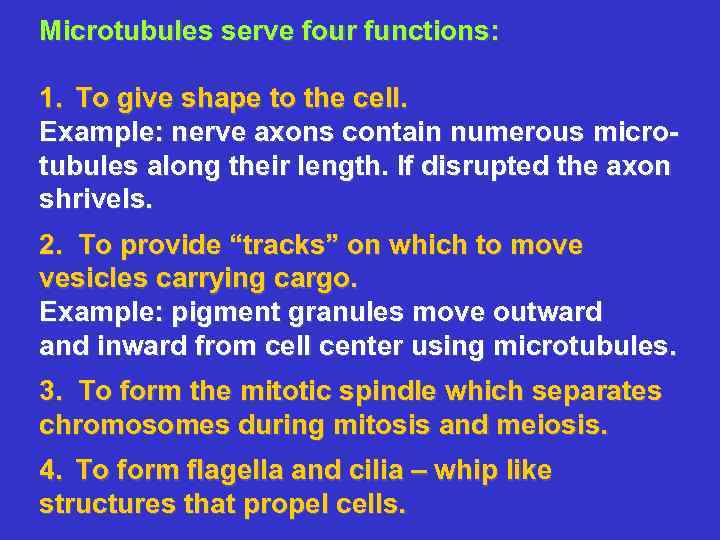 Microtubules serve four functions: 1. To give shape to the cell. Example: nerve axons