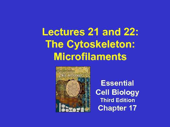 Lectures 21 and 22: The Cytoskeleton: Microfilaments Essential Cell Biology Third Edition Chapter 17