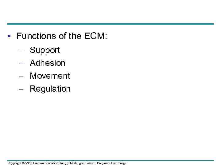  • Functions of the ECM: – – Support Adhesion Movement Regulation Copyright ©