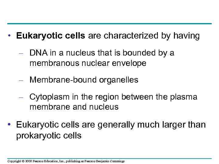  • Eukaryotic cells are characterized by having – DNA in a nucleus that