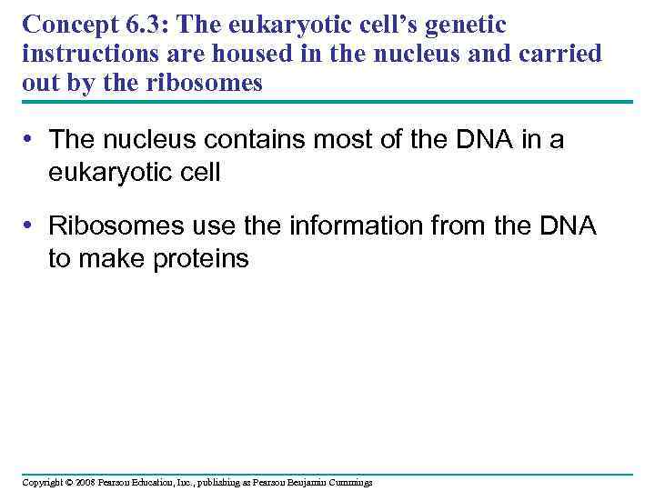 Concept 6. 3: The eukaryotic cell’s genetic instructions are housed in the nucleus and