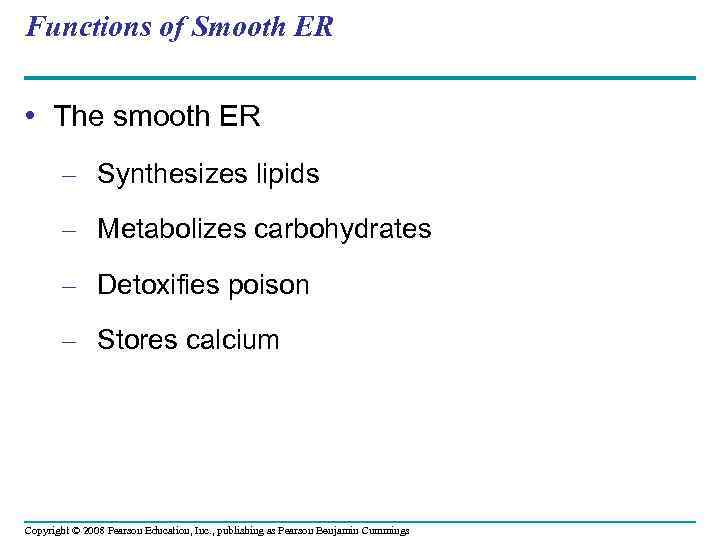 Functions of Smooth ER • The smooth ER – Synthesizes lipids – Metabolizes carbohydrates