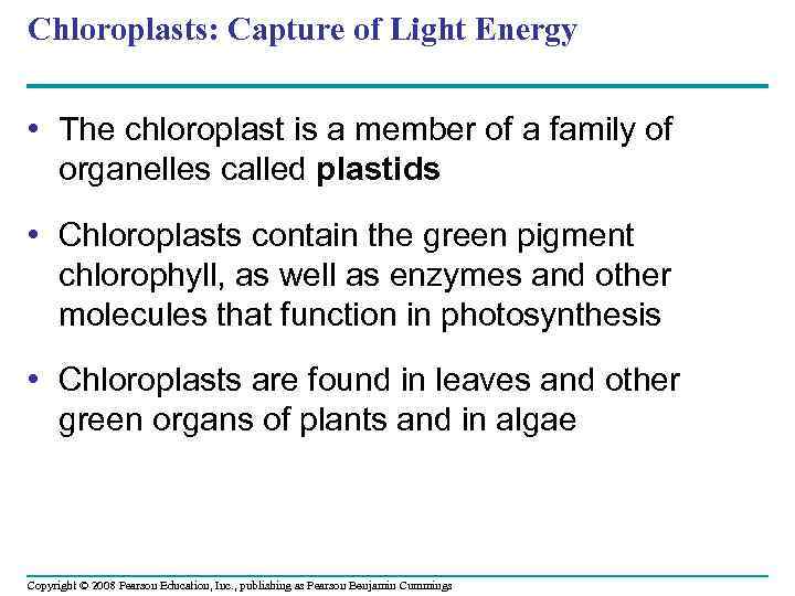 Chloroplasts: Capture of Light Energy • The chloroplast is a member of a family