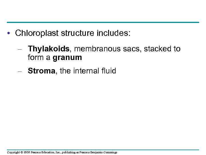  • Chloroplast structure includes: – Thylakoids, membranous sacs, stacked to form a granum