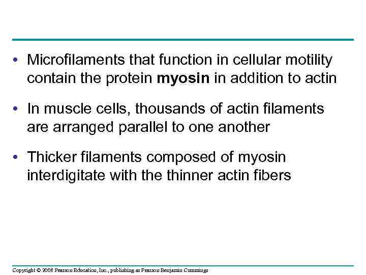  • Microfilaments that function in cellular motility contain the protein myosin in addition