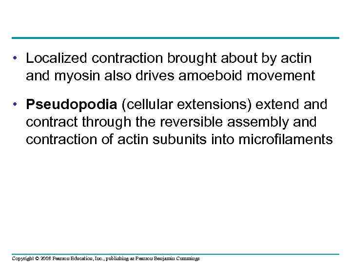  • Localized contraction brought about by actin and myosin also drives amoeboid movement