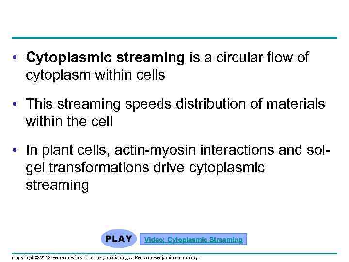  • Cytoplasmic streaming is a circular flow of cytoplasm within cells • This