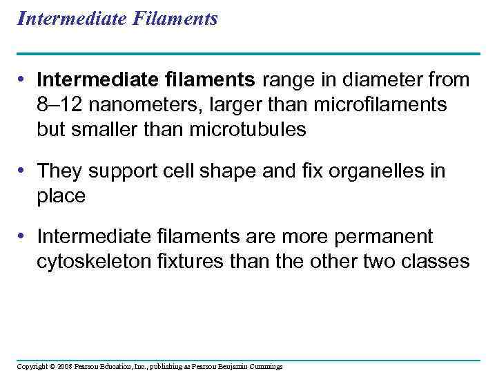 Intermediate Filaments • Intermediate filaments range in diameter from 8– 12 nanometers, larger than