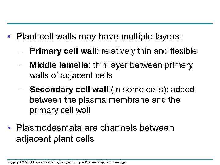  • Plant cell walls may have multiple layers: – Primary cell wall: relatively