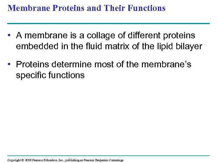 Membrane Proteins and Their Functions • A membrane is a collage of different proteins
