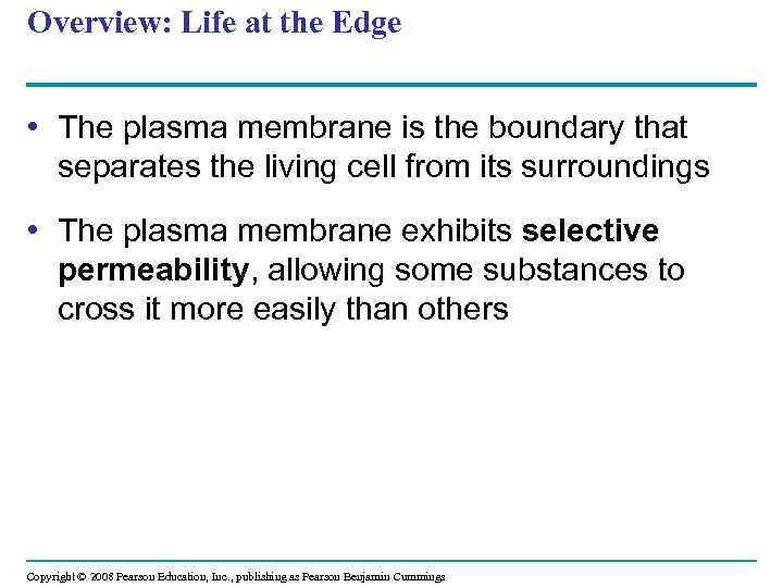 Overview: Life at the Edge • The plasma membrane is the boundary that separates