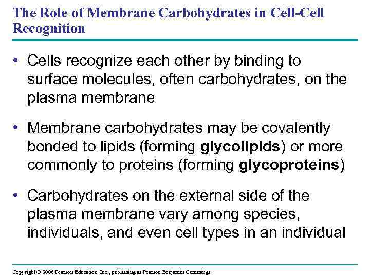 The Role of Membrane Carbohydrates in Cell-Cell Recognition • Cells recognize each other by