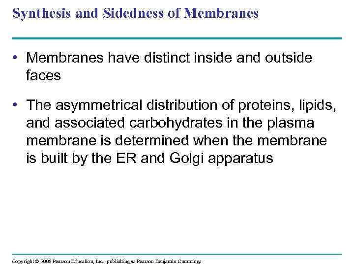 Synthesis and Sidedness of Membranes • Membranes have distinct inside and outside faces •