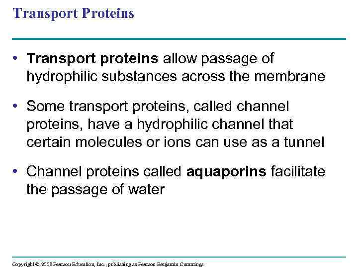 Transport Proteins • Transport proteins allow passage of hydrophilic substances across the membrane •
