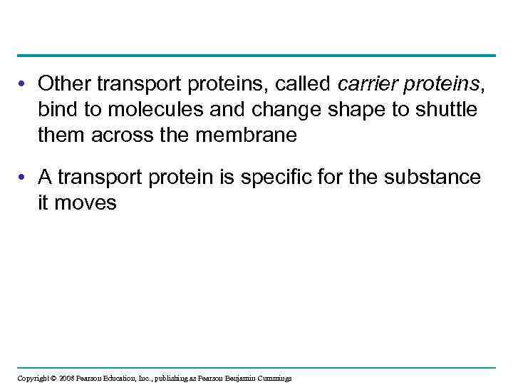  • Other transport proteins, called carrier proteins, bind to molecules and change shape