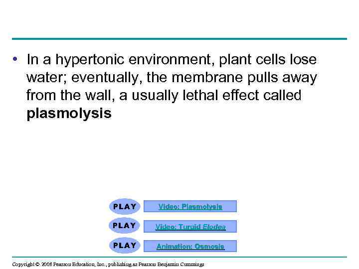  • In a hypertonic environment, plant cells lose water; eventually, the membrane pulls