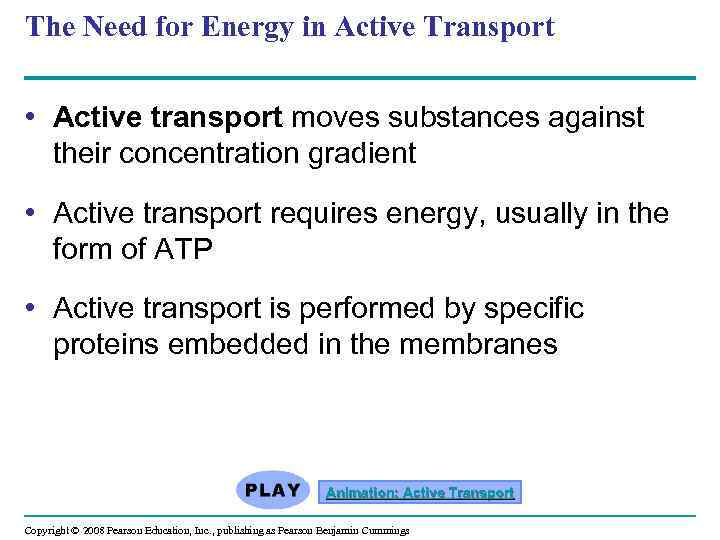 The Need for Energy in Active Transport • Active transport moves substances against their