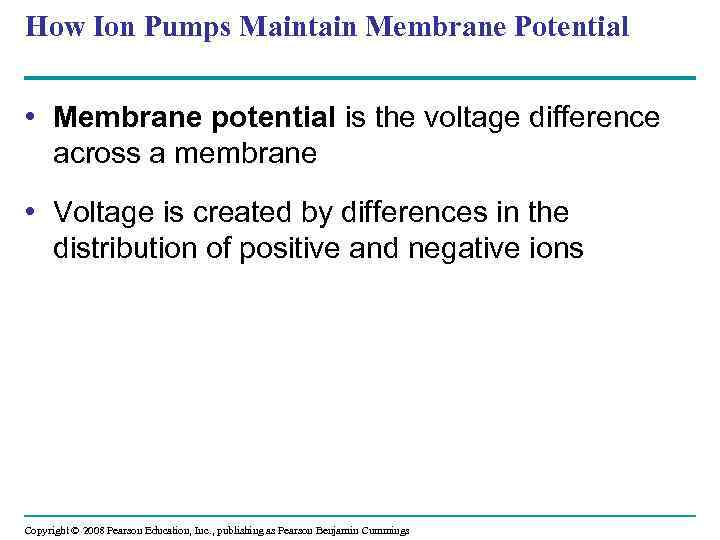 How Ion Pumps Maintain Membrane Potential • Membrane potential is the voltage difference across