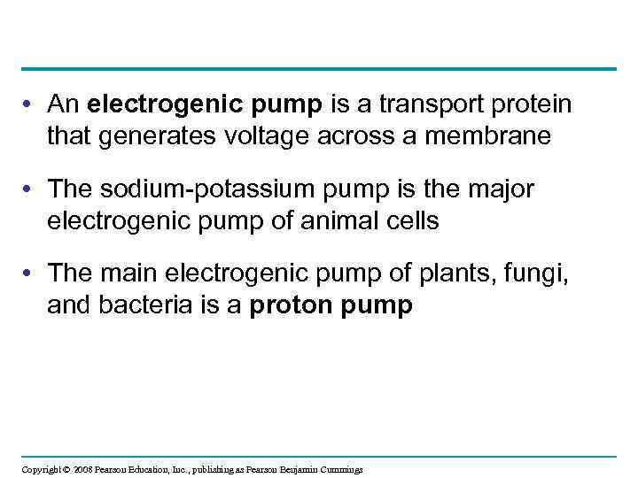  • An electrogenic pump is a transport protein that generates voltage across a