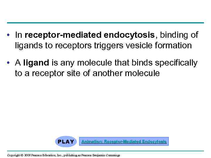  • In receptor-mediated endocytosis, binding of ligands to receptors triggers vesicle formation •