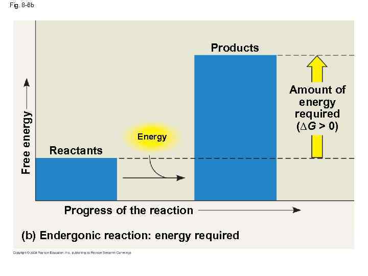 Fig. 8 -6 b Free energy Products Energy Reactants Progress of the reaction (b)