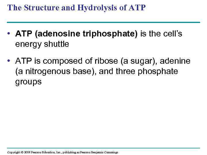 The Structure and Hydrolysis of ATP • ATP (adenosine triphosphate) is the cell’s energy