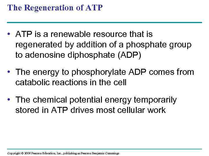 The Regeneration of ATP • ATP is a renewable resource that is regenerated by