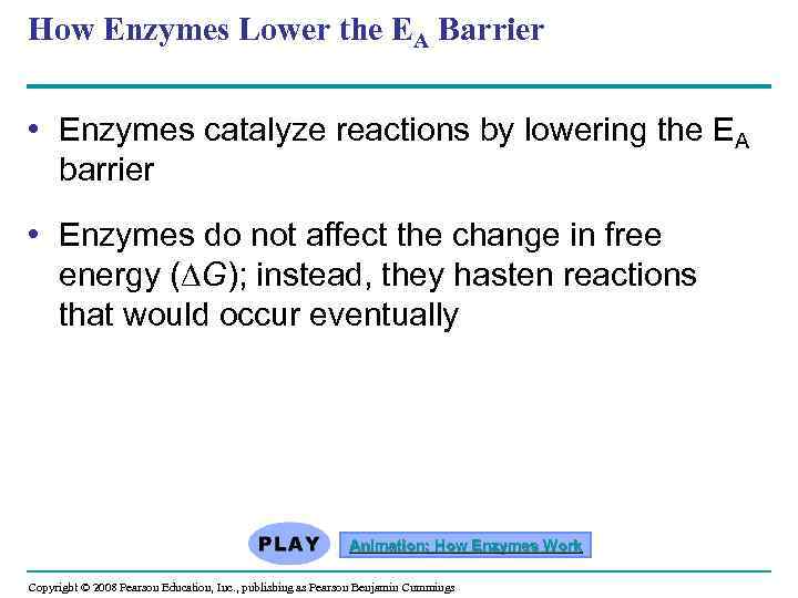 How Enzymes Lower the EA Barrier • Enzymes catalyze reactions by lowering the EA