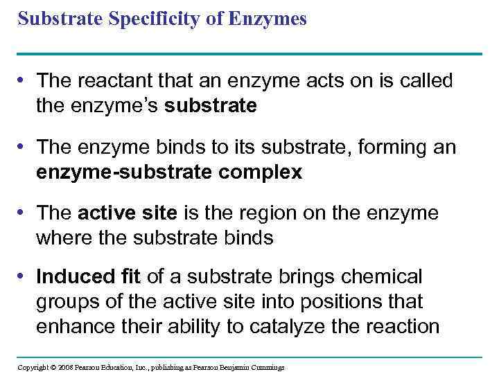 Substrate Specificity of Enzymes • The reactant that an enzyme acts on is called