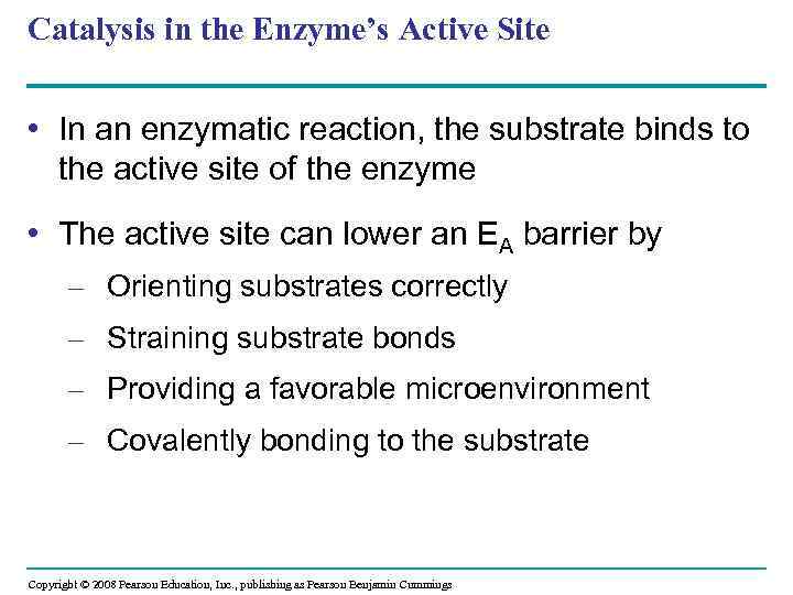 Catalysis in the Enzyme’s Active Site • In an enzymatic reaction, the substrate binds