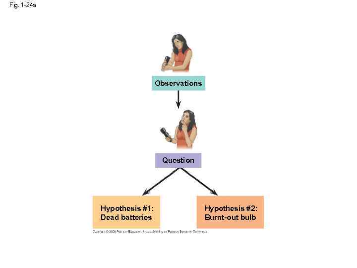 Fig. 1 -24 a Observations Question Hypothesis #1: Dead batteries Hypothesis #2: Burnt-out bulb