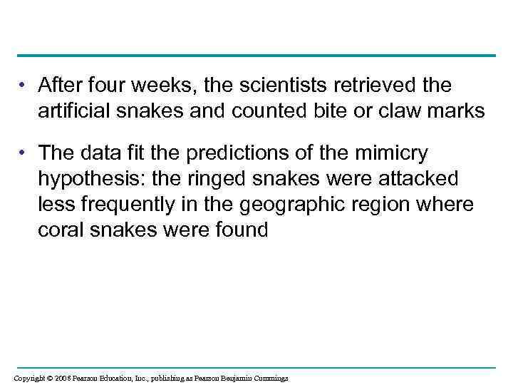  • After four weeks, the scientists retrieved the artificial snakes and counted bite