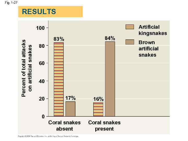 Fig. 1 -27 RESULTS Percent of total attacks on artificial snakes 100 84% 83%