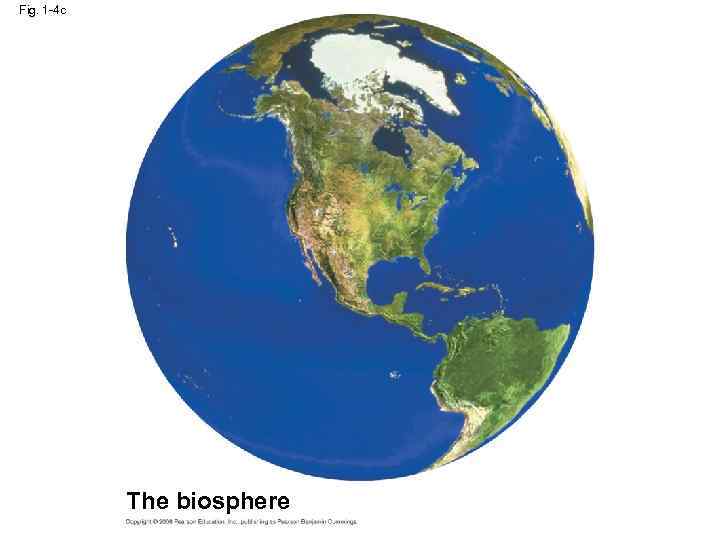 Fig. 1 -4 c The biosphere 