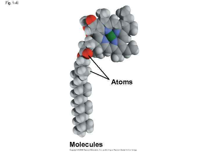 Fig. 1 -4 l Atoms Molecules 