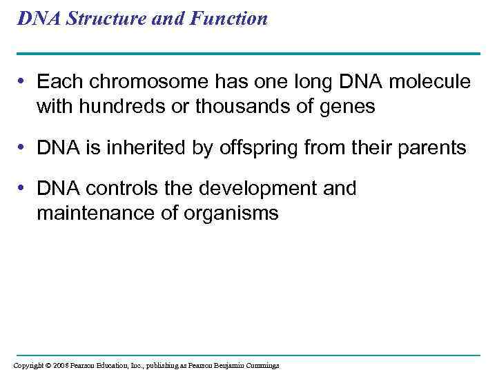 DNA Structure and Function • Each chromosome has one long DNA molecule with hundreds