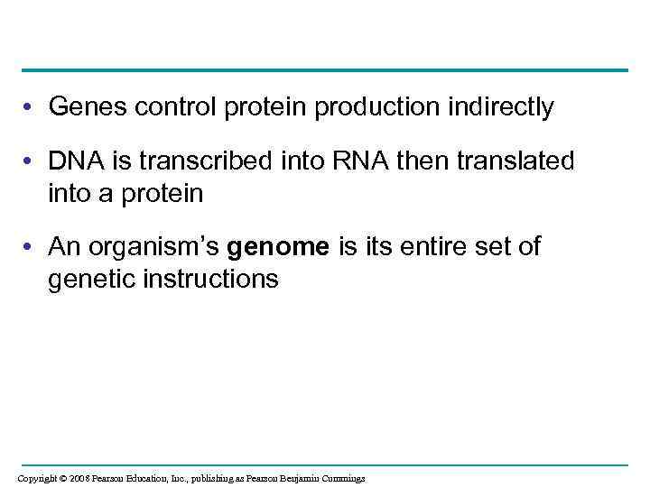  • Genes control protein production indirectly • DNA is transcribed into RNA then