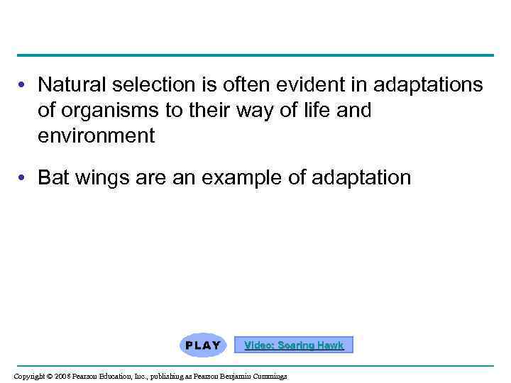  • Natural selection is often evident in adaptations of organisms to their way