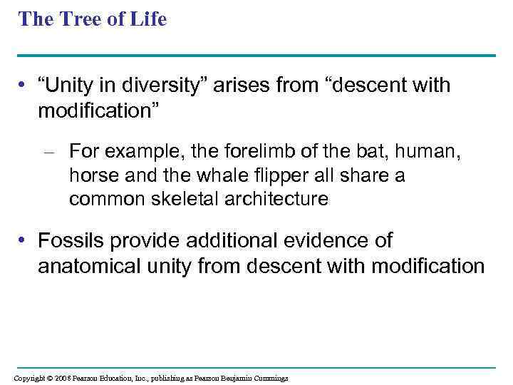 The Tree of Life • “Unity in diversity” arises from “descent with modification” –