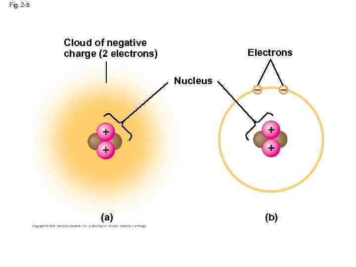 Fig. 2 -5 Cloud of negative charge (2 electrons) Electrons Nucleus (a) (b) 